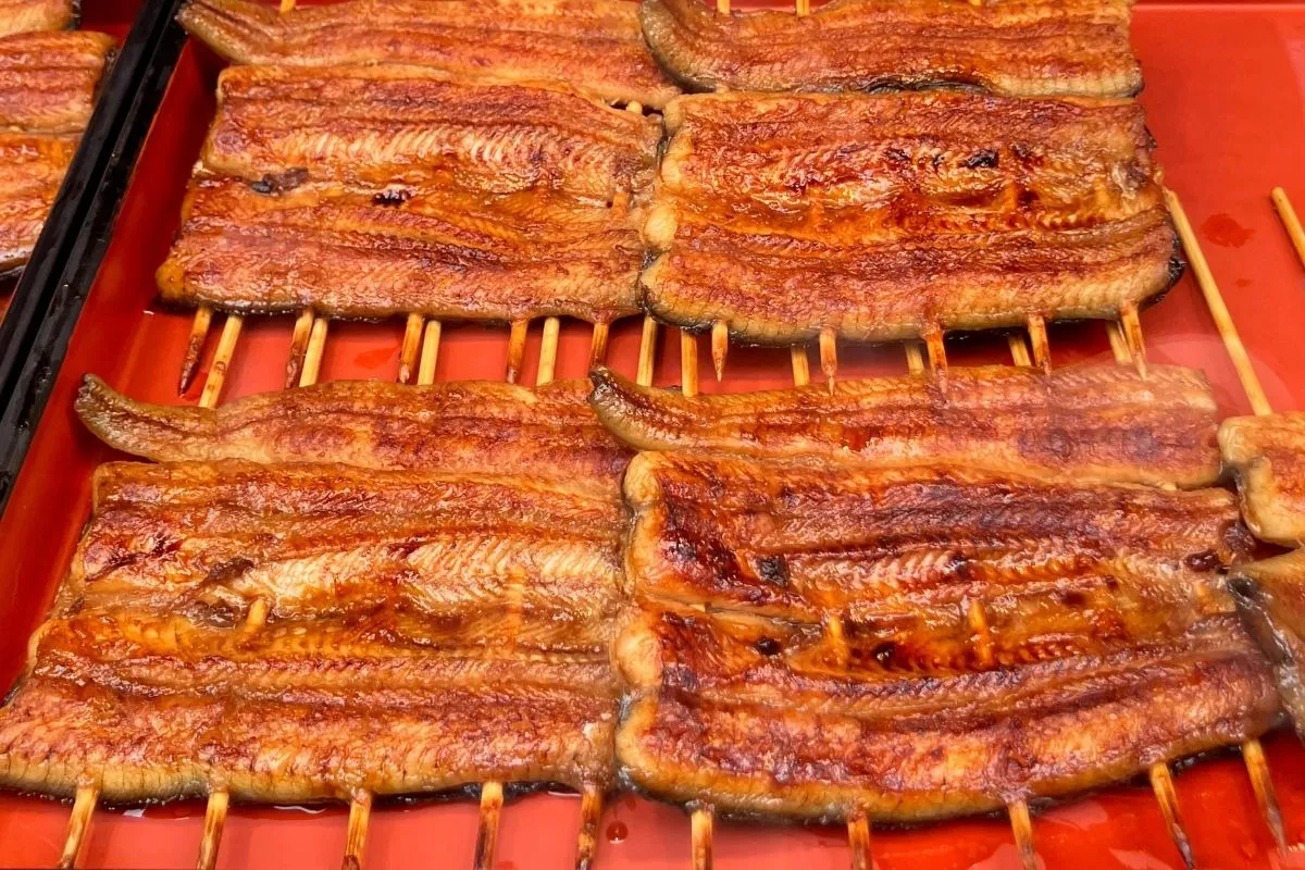 鰻の蒲焼きを極上に味わう方法！国産うなぎの美味しい食べ方を徹底解説