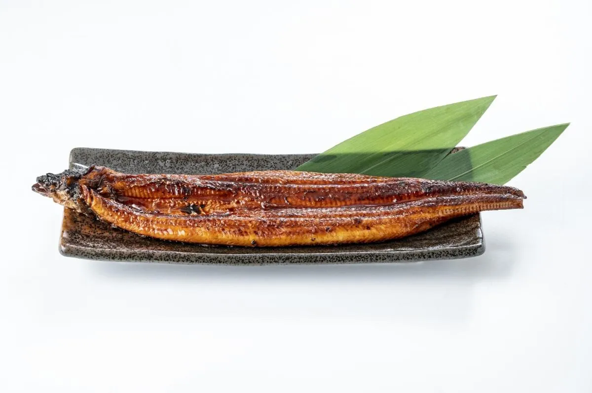 東京都港区で鰻を食べる際のポイント！うなぎの魅力について徹底解説